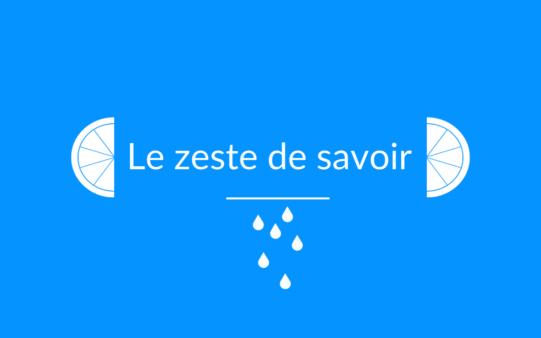 Le zeste de Valentin – le marketing d’influence